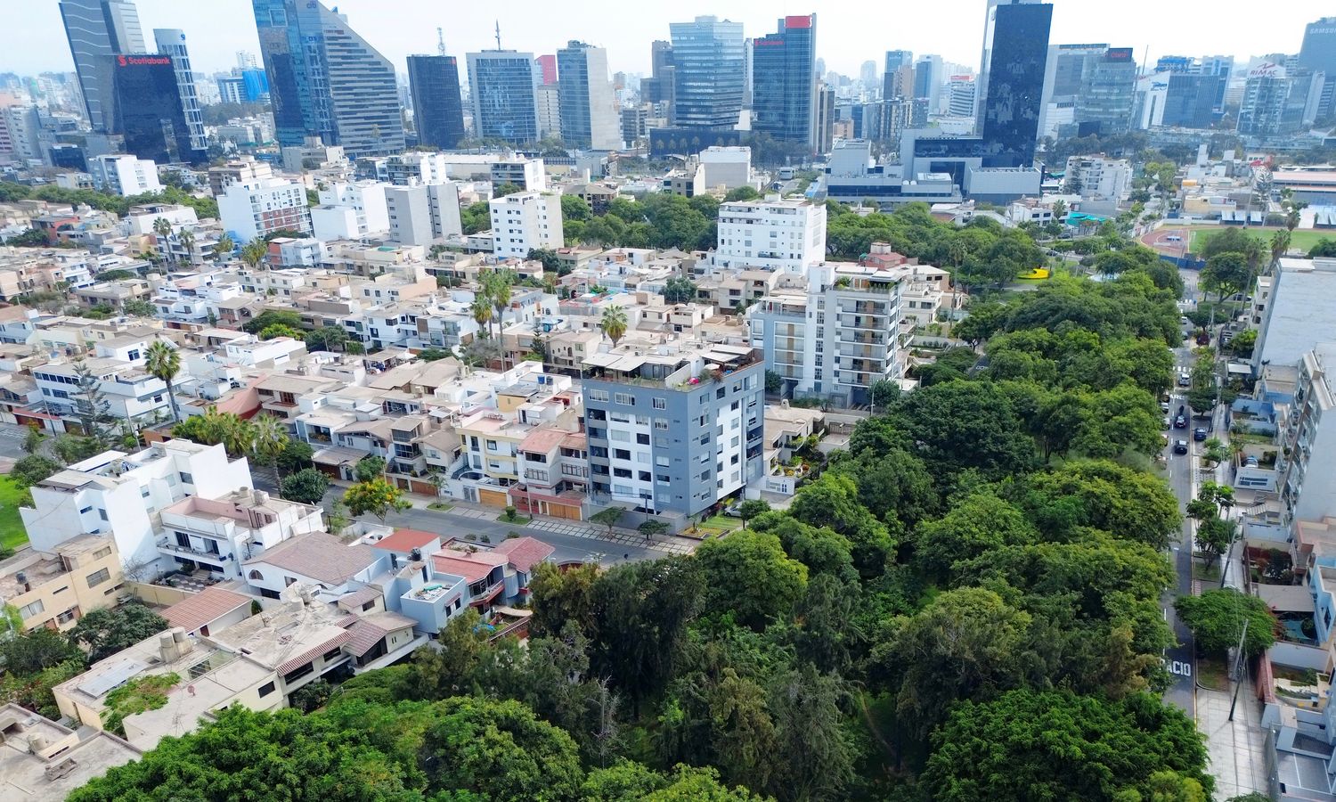 Av del Parque Norte