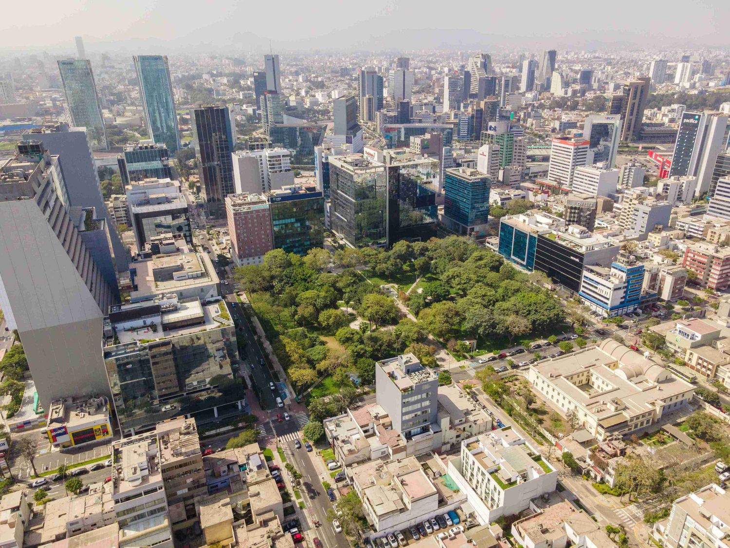 (C) Calle Amador Reyna