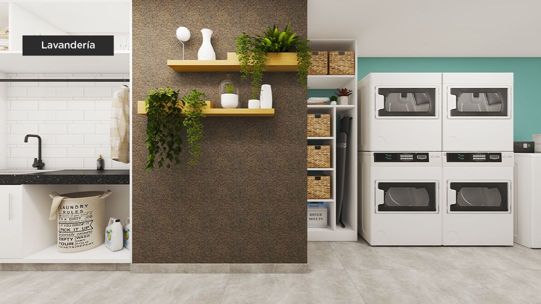 (C) Calle Amador Reyna