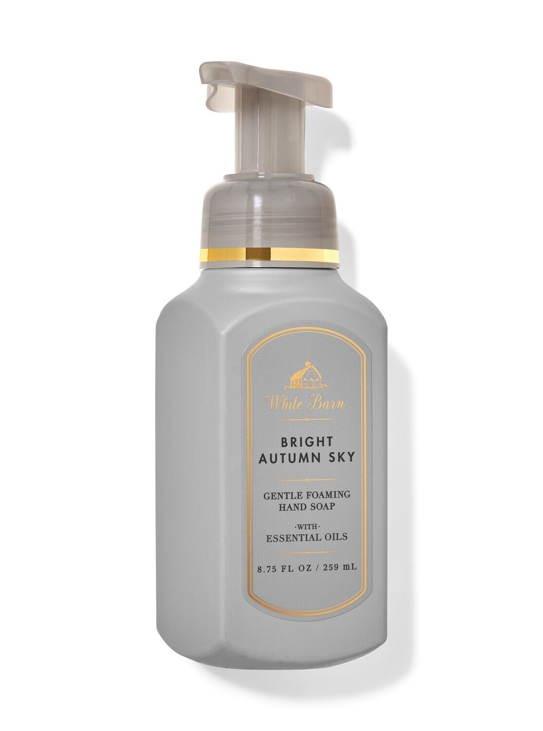 Bright Autumn Sky Foaming Hand Soap