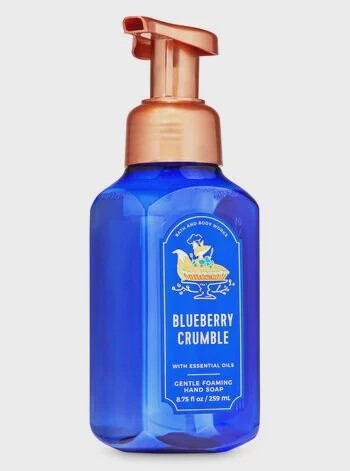 Blueberry Crumble Foaming Hand Soap
