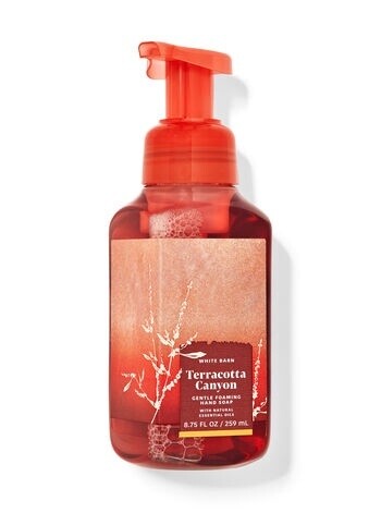 Men: Terracotta Canyon Foaming Hand Soap