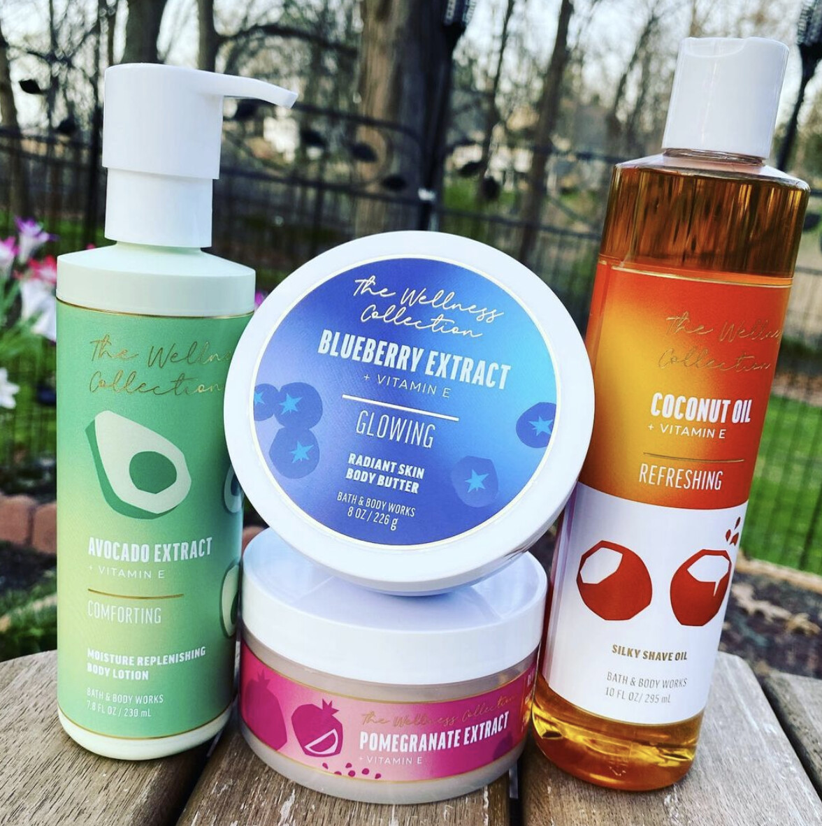 Blueberry Extract (Wellness Collection) Body Butter/ Hair Mask