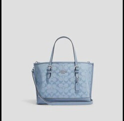 Mollie Tote 25, Color: Silver/Cornflower Multi