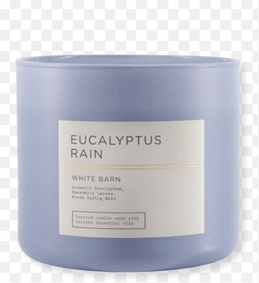 Eucalyptus Rain Candle