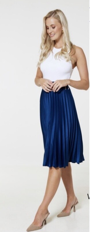 Navy Pleated Skirt