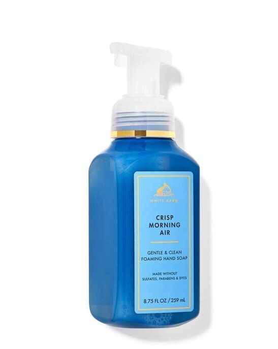 Crisp Morning Air Foaming Hand Soap