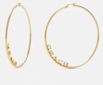 Large Hoop Earrings