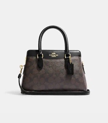 Mini Darcie Carryall In Blocked Signature