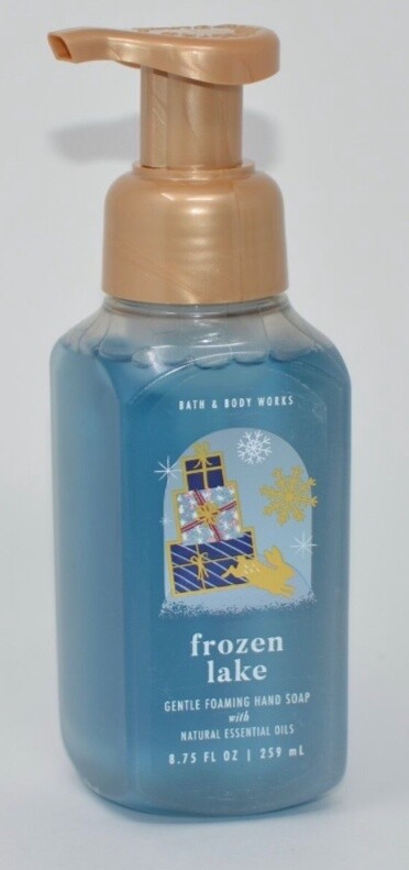 Frozen Lake Foaming Hand Soap