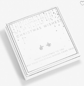 CHRISTMAS BEAUTIFULLY BOXED EARRINGS | CHRISTMAS WISHES
