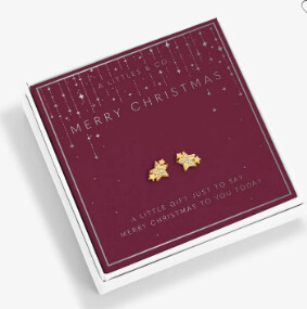 CHRISTMAS BEAUTIFULLY BOXED EARRINGS | MERRY CHRISTMAS