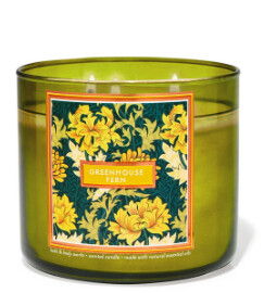 Greenhouse Fern Large 3 Wick