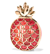 Pineapple vent clip car plug