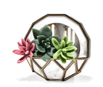 Wall Planter Vent clip Car Plug