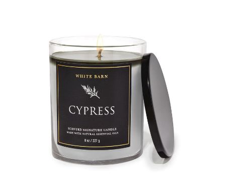 Cypress Candle