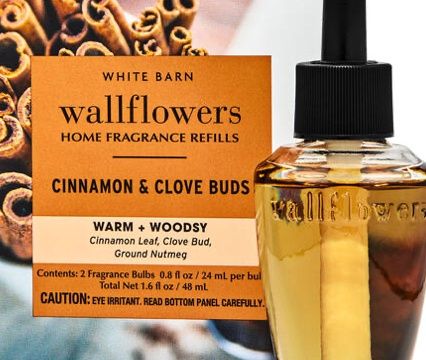 Wallflower Double Refill  Cinnamon &amp; Clove Buds