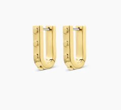 Asher Link Hoops