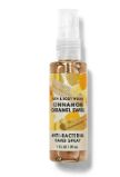 Mini Sanitizer Spray Cinnamon Caramel Swirl