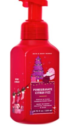 Pomegranate Citrus Fizz Foaming Hand soap
