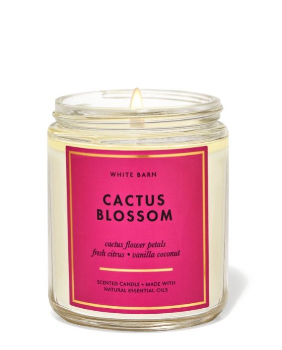 Cactus Blossom Candle, Size: Medium Single Wick