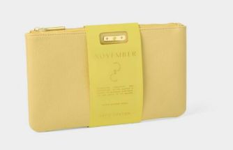 BIRTHSTONE POUCH NOVEMBER, Color: NOVEMBER