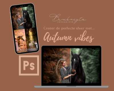 Autumn Vibes - Edit tutorial bundel