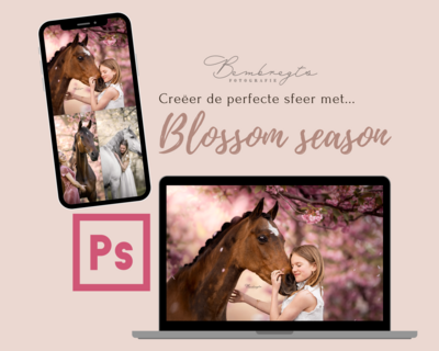 Blossom season - Edit tutorial bundel