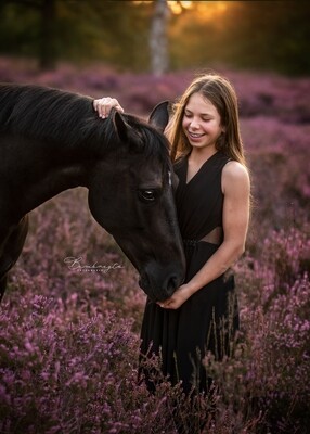 Meeloopdag - paardenfotografie Meeloopdag - paardenfotografie