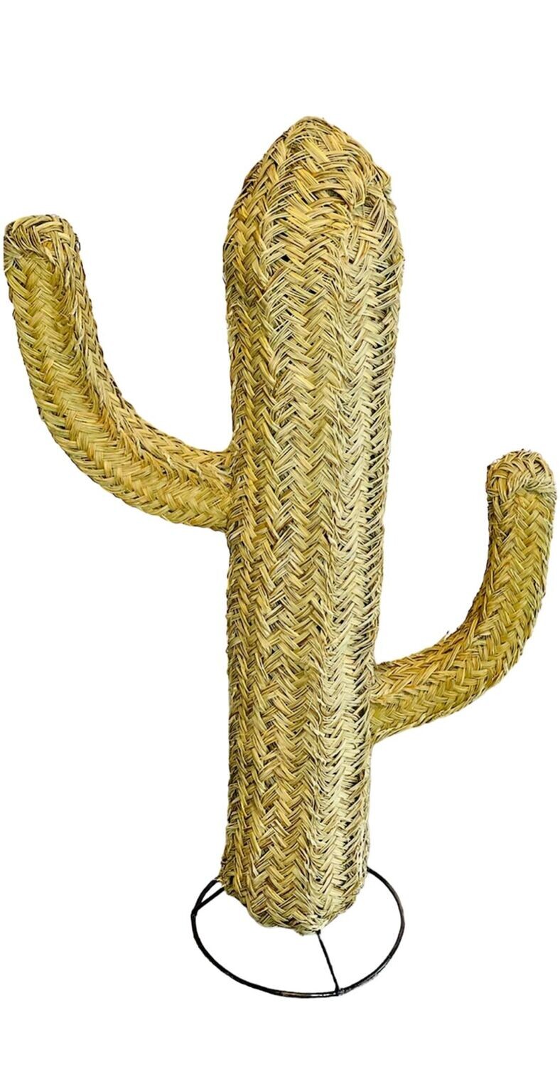 Cactus L