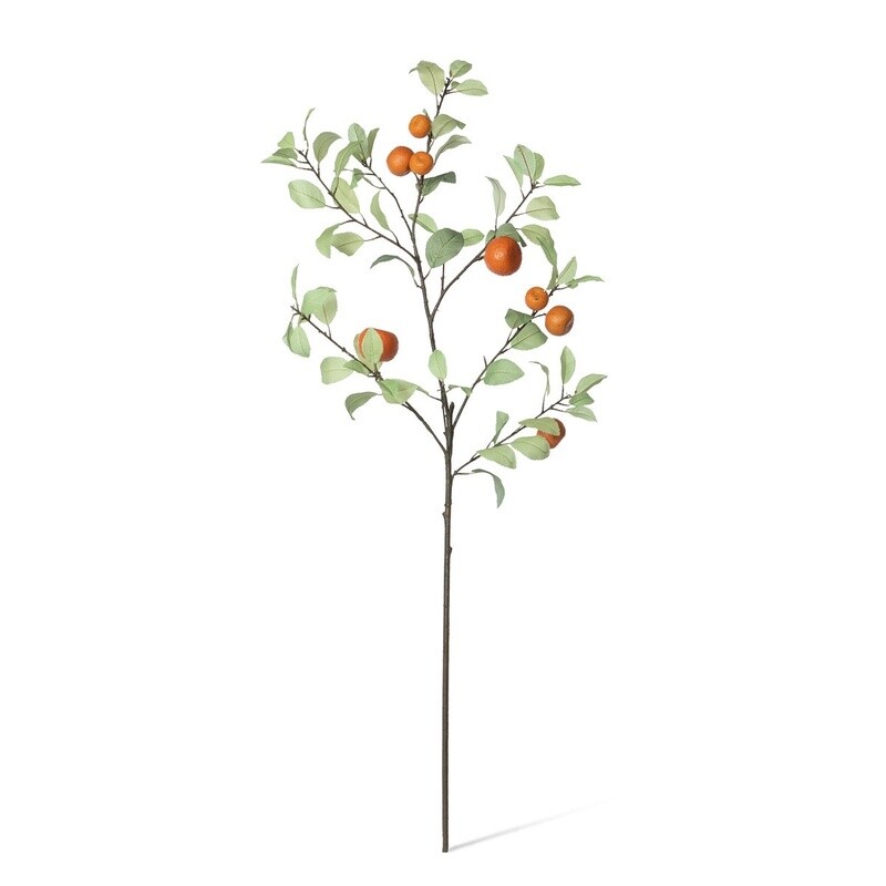 Tangerine Branch