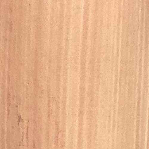 Flesh Tint 40ml