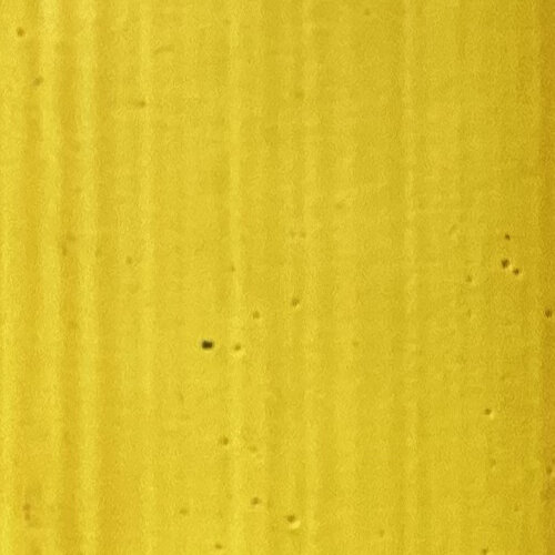 Cobalt Yellow - Aureolin 40ml