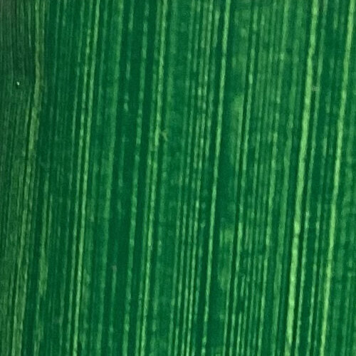 Permanent Green Middle 40ml