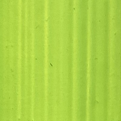 Permanent Green Lightest 40ml Permanent Green Lightest 40ml
