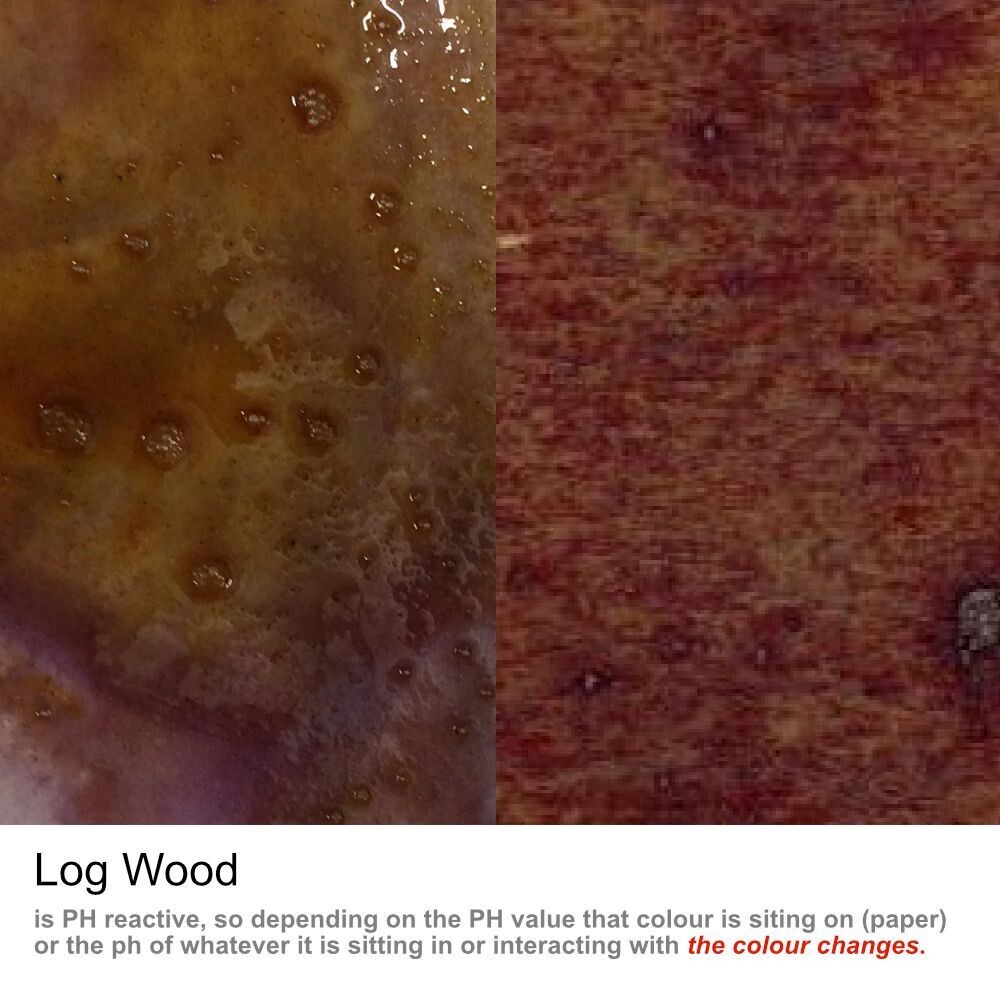 Log Wood 30ml WSI
