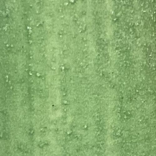 Victoria Green WSBO 40ml
