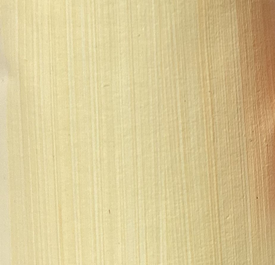 Florentine Golden Flesh   150 ml