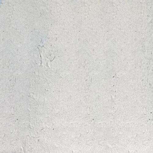 Venetian Stucco White  - Natural Clay, Italian VWC5ml