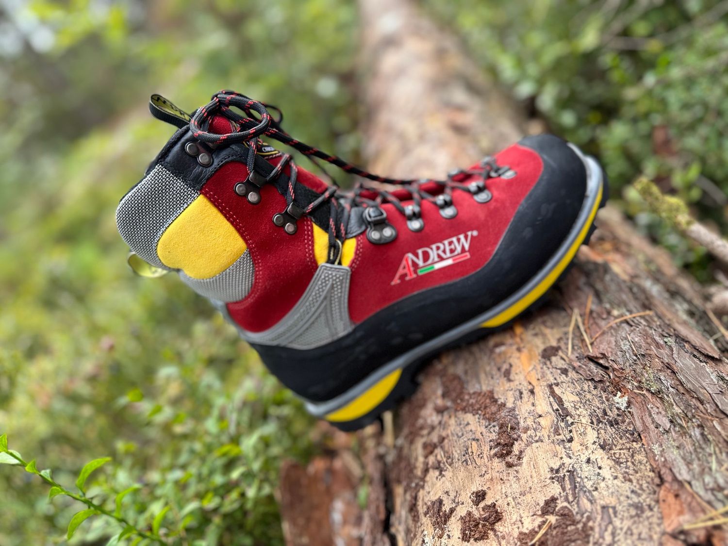 ANDREW Schnittschutzschuh BIONICO WOOD / Innenfutter Sympatex