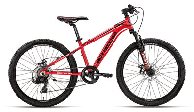 BOTTECCHIA 061 24"