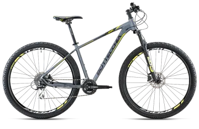 BOTTECCHIA 116 MTB 29