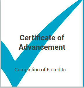 Bundle Certificate of Advancement Package