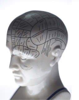 Adult Learning - Mental Skills