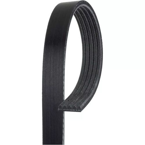 5K459AP Gates Drive Belt for 850 Audi RS4 Mazda Protege5 Protege 626 Ford Probe