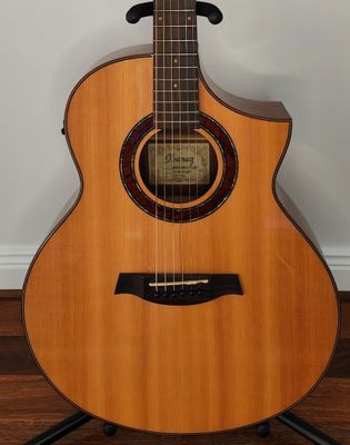 Acoustic/Electric Guitar
Ibanez AEW Series Natural Movingui Wood
w/ molded hard shell case.