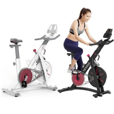 Yesoul Spinning Bike S3