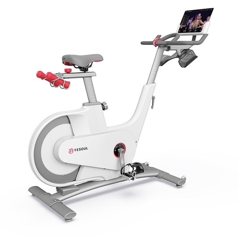 Yesoul Spinning Bike V1