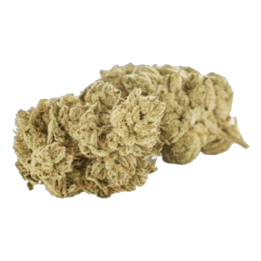 [Premium] Starburst #2 - Sativa