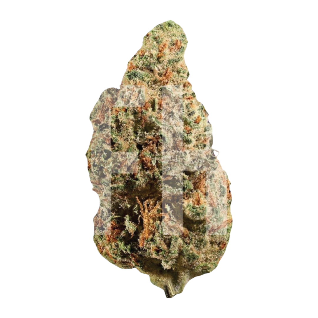 [Top Shelf] Fuel Biscuits Sativa